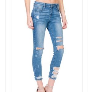 Cello Destroyed Jean